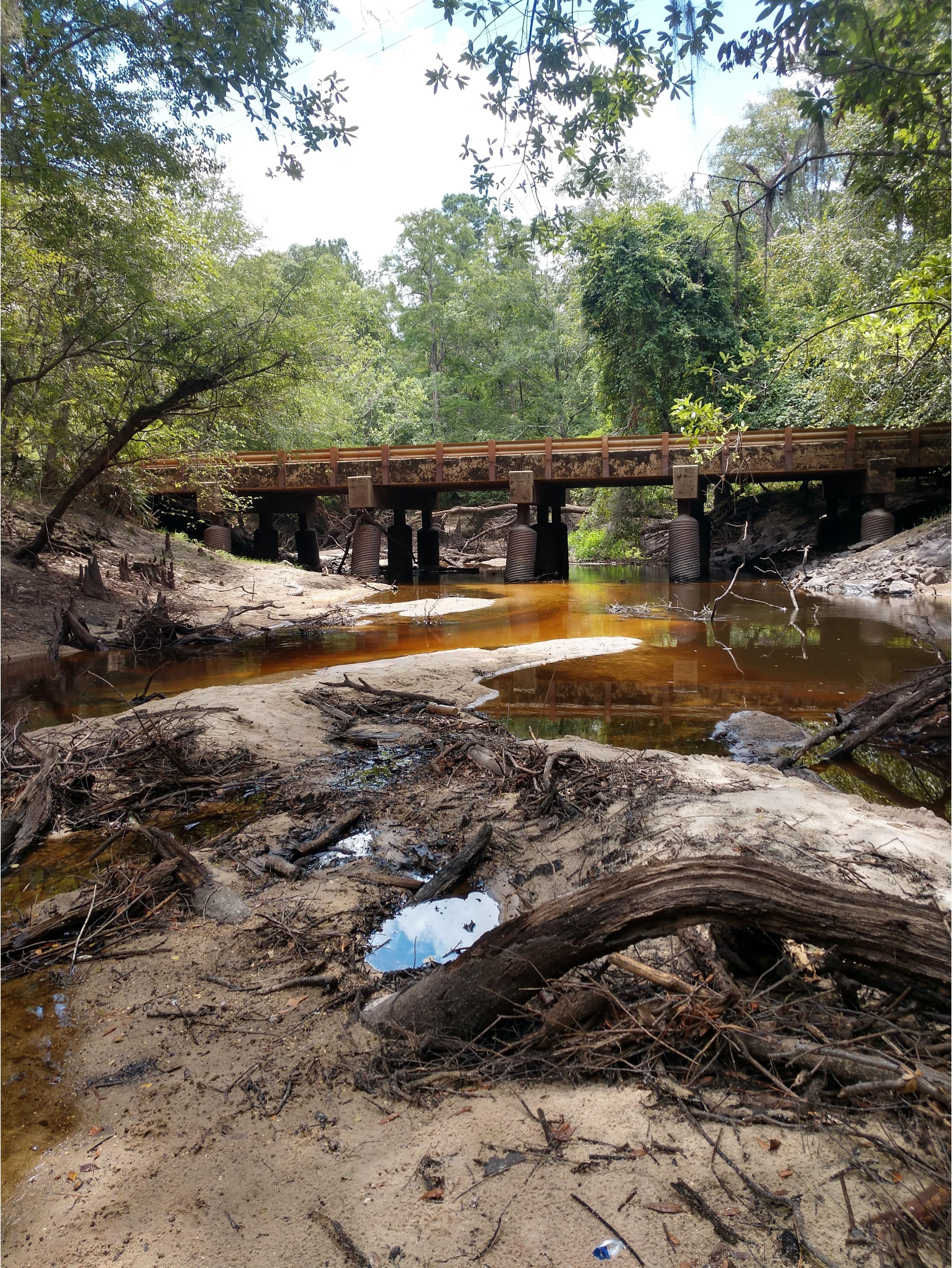 Tyler Bridge, Withlacoochee River @ Franklinville Road 2024-06-27