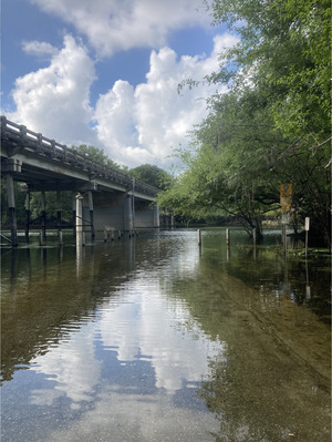 [Other, Santa Fe River @ US 129 2024-06-26]