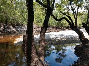 [Downstream, Withlacoochee River @ Langdale Park 2024-06-27]