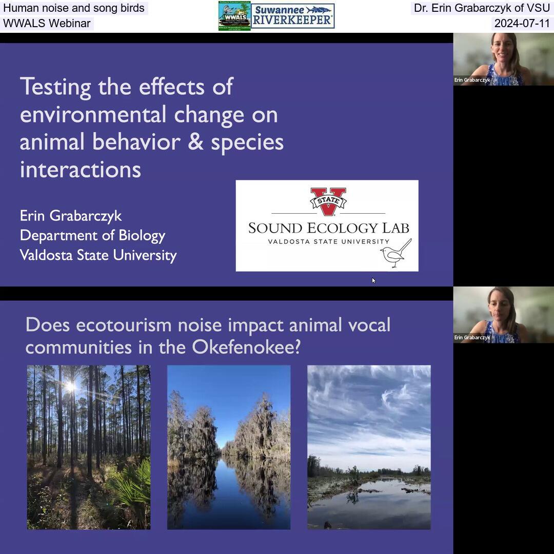 Human noise and song birds, Dr. Erin Grabarczyk of VSU, WWALS Webinar, 2024-07-11