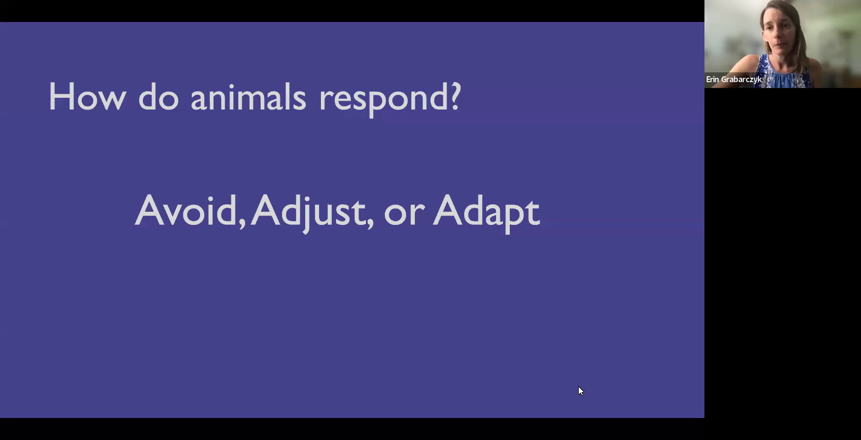 How do animals respond? Avoid, Adjust, or Adapt