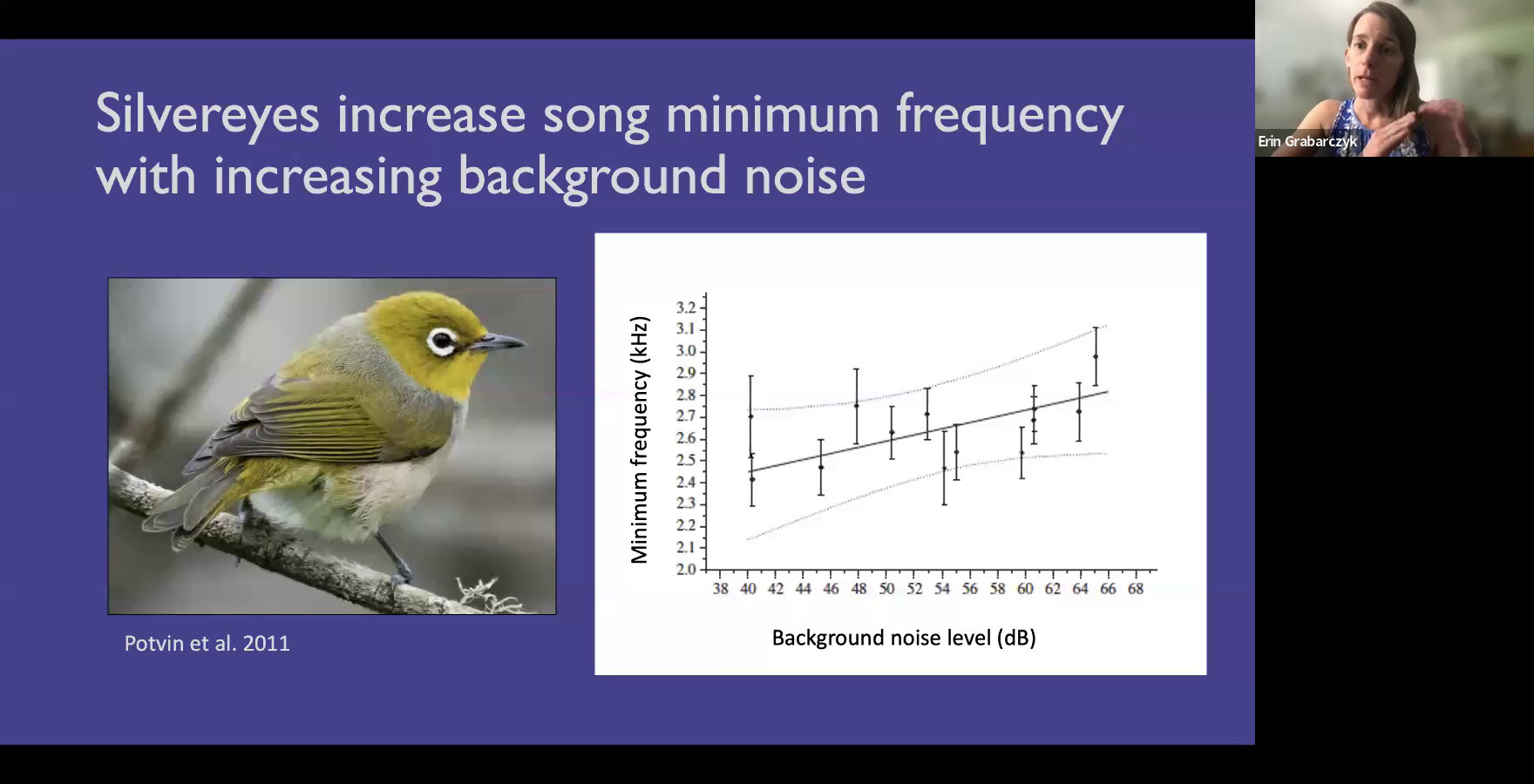 Silvereyes increase song minimum frequency with increasing background noise