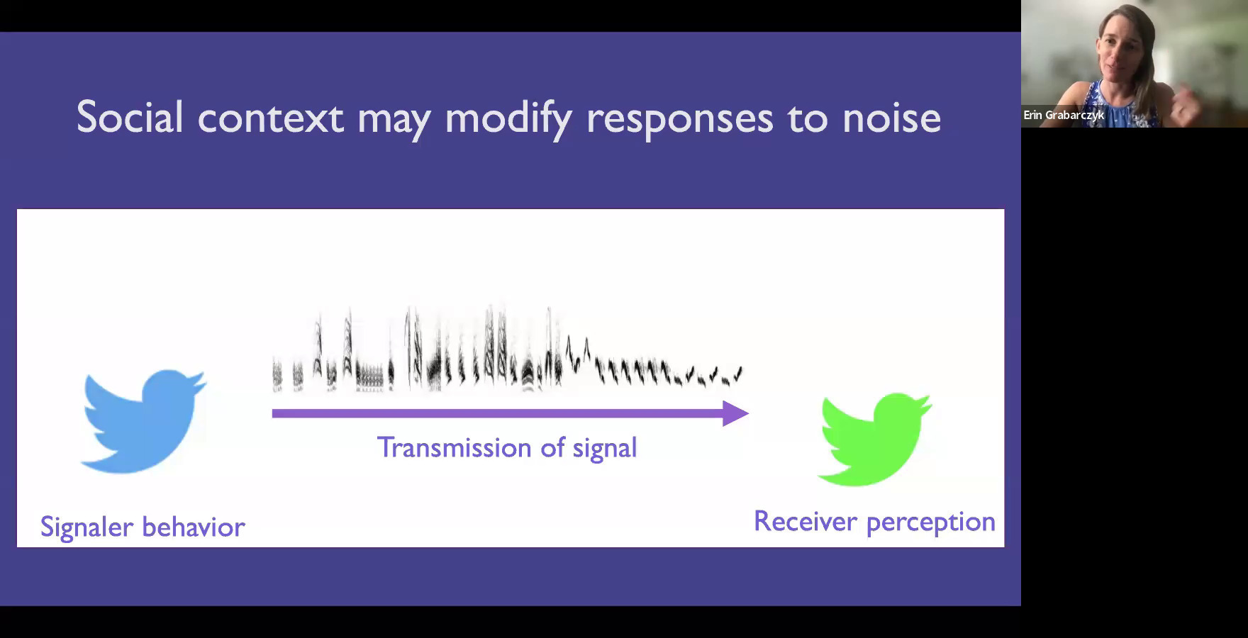 Social context may modify responses to noise