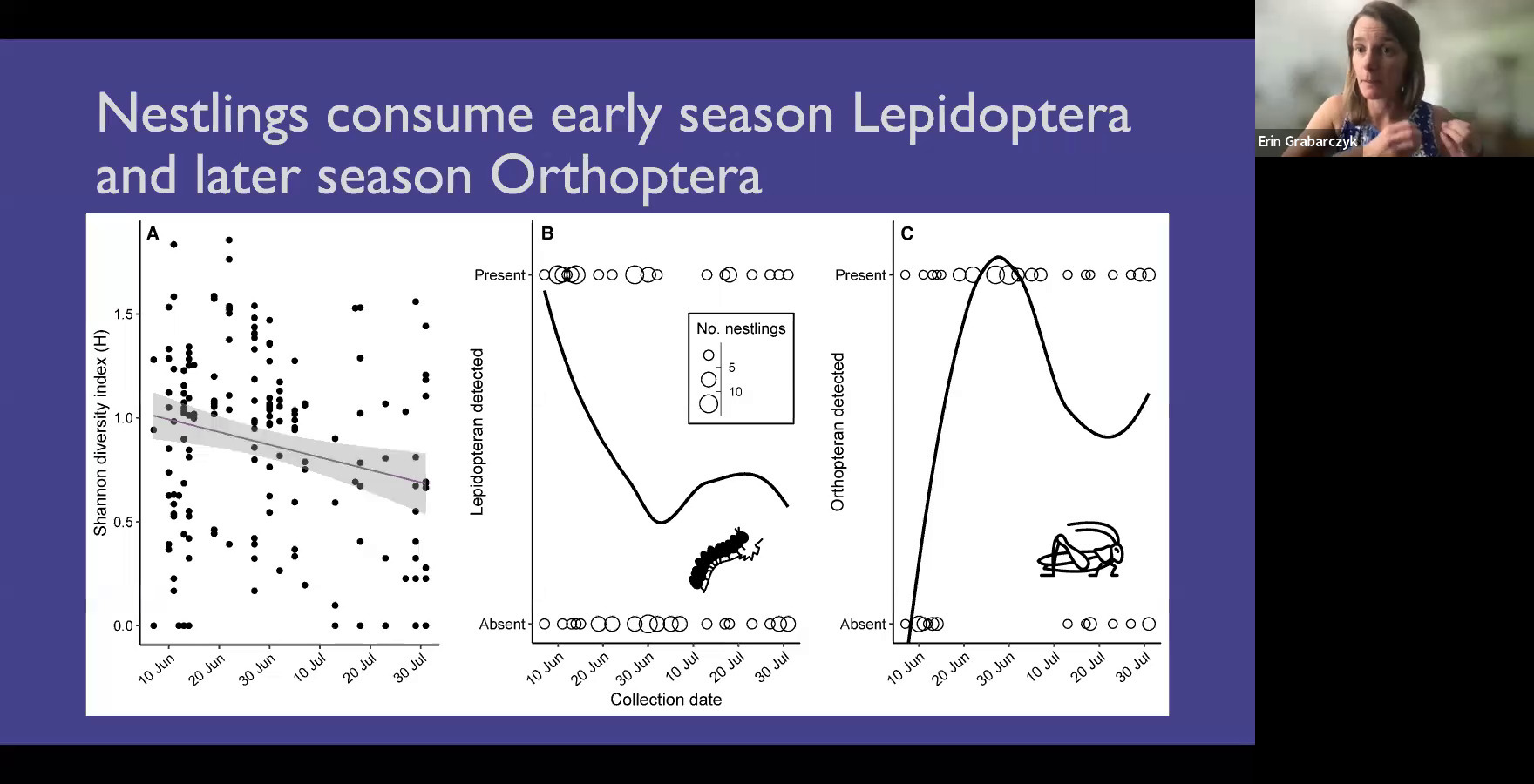 Nestlings consume early season Lepidoptera and later season Orthoptera