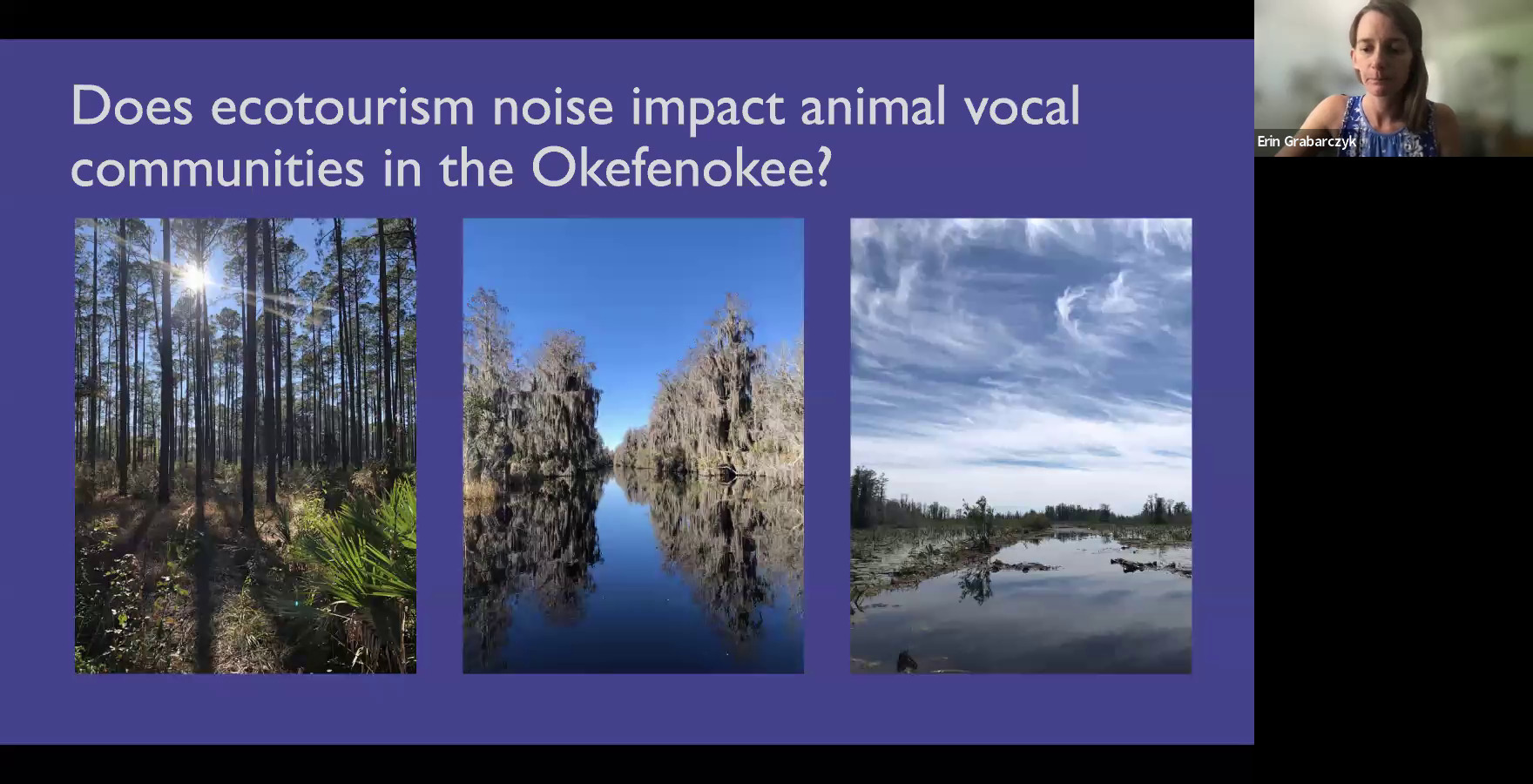 Does ecotourism noise impact animal vocal communities in the Okefenokee?