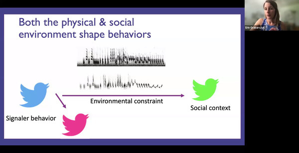 Both the physical & social environment shape behaviors