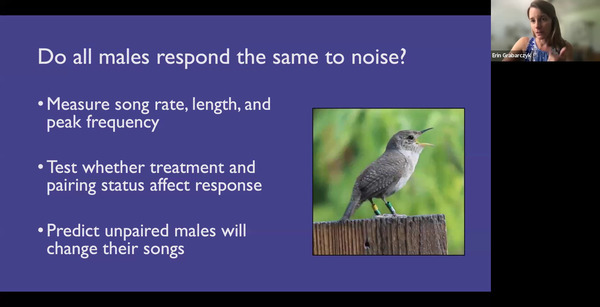 [Do all males respond the same to noise?]