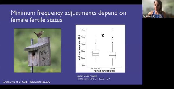 Minimum frequency adjustments depend on female fertile status