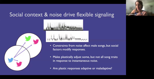 Social context & noise drive flexible signaling