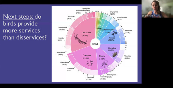 Next steps: do birds provide more services than disservices?