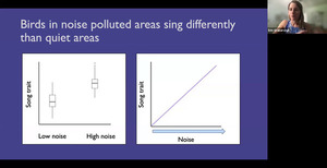 [Birds in noise polluted areas sing differently than quiet areas]