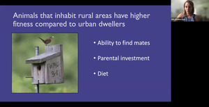 [Animals that inhabit rural areas have higher fitness compared to urban dwellers]