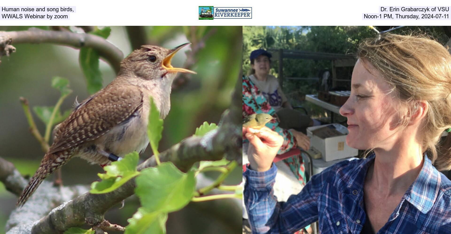 [Human noise and song birds, Dr. Erin Grabarczyk of VSU, WWALS Webinar by zoom, Noon-1 PM, Thursday, 2024-07-11]