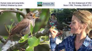 [Human noise and song birds, Dr. Erin Grabarczyk of VSU, WWALS Webinar by zoom, Noon-1 PM, Thursday, 2024-07-11]