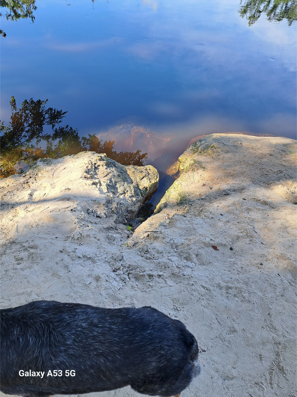 [Anderson Spring, Suwannee River 2024-07-06]