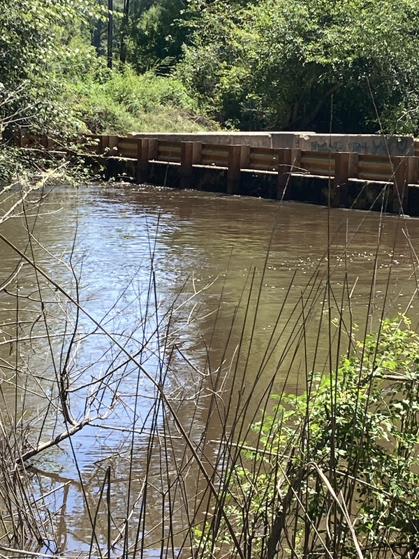 Franklinville, Tyler Bridge, Withlacoochee River @ Frankinville Road 2024-07-11