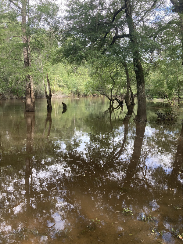 [Langdale Park Boat Ramp, Withlacoochee River @ North Valdosta Road 2024-07-11]