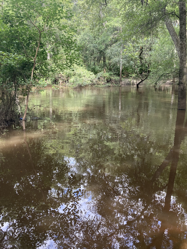 [Staten Road, Withlacoochee River @ Staten Road 2024-07-11]