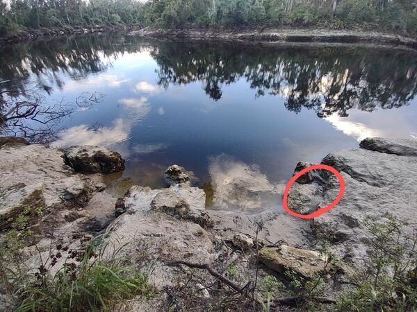 [Location of reported bad smell at Anderson Spring, Suwannee River 2024-06-30]