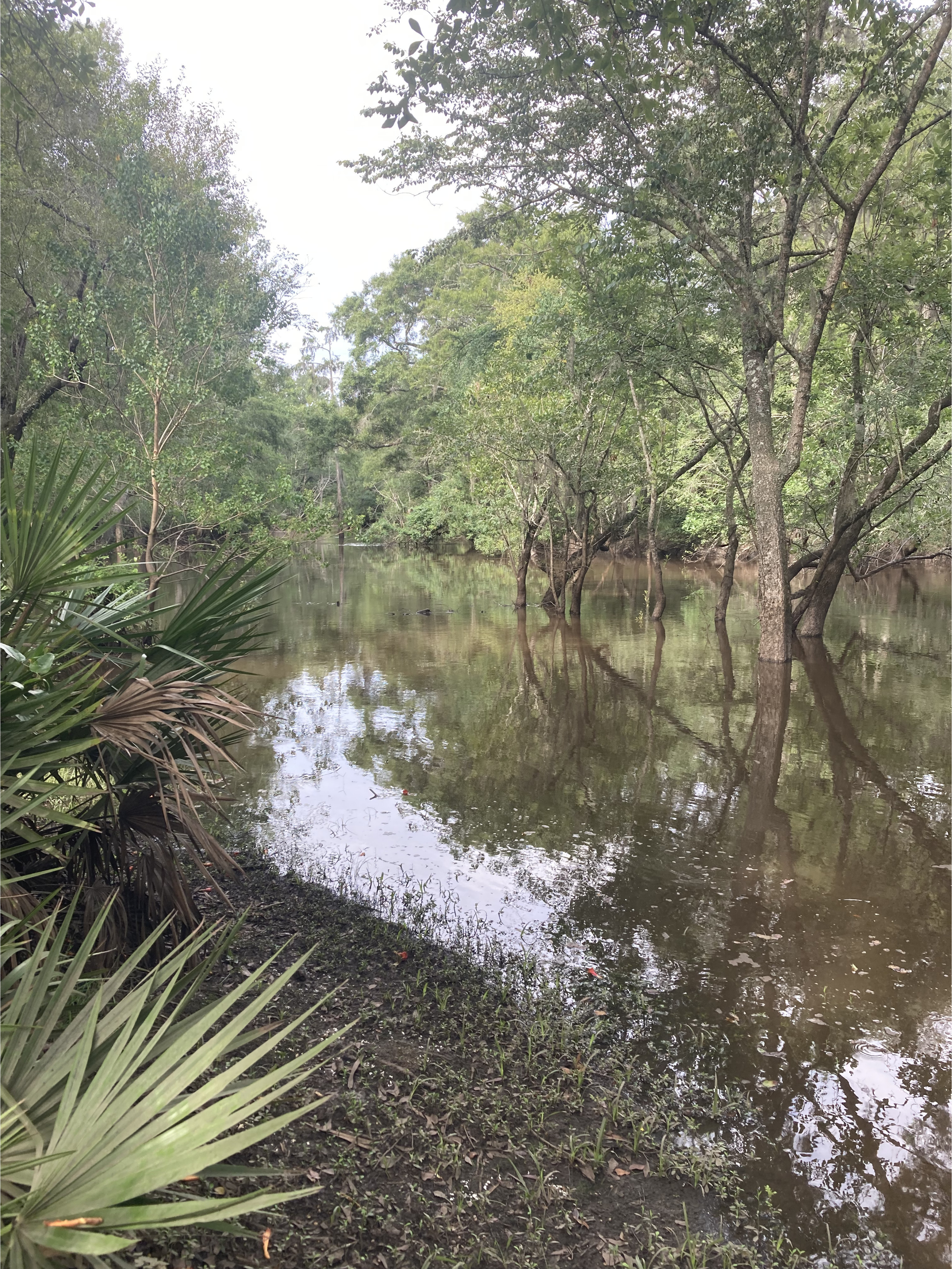 Langdale Park Boat Ramp other, Withlacoochee River @ North Valdosta Road 2024-07-11