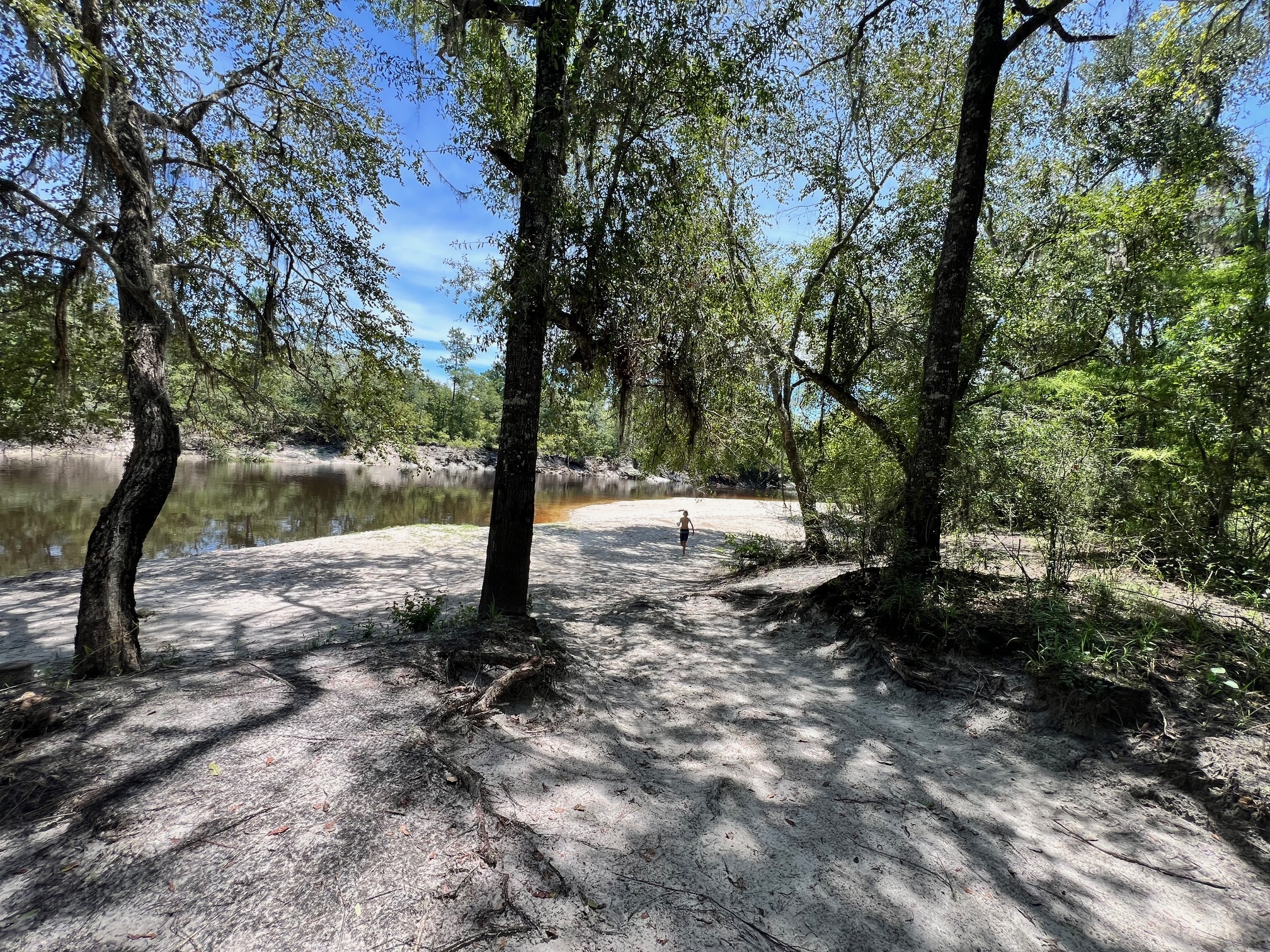 Naylor Park Beach, Alapaha River @ US 84 2024-07-11