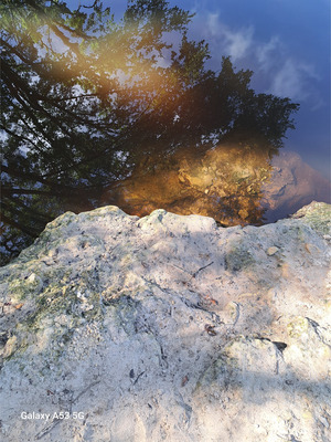 [Water, Anderson Spring, Suwannee River 2024-07-06]