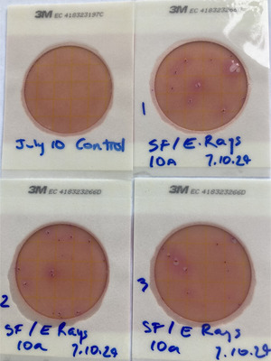 [Plates, Ellie Ray's River Landing Ramp 2024-07-10]