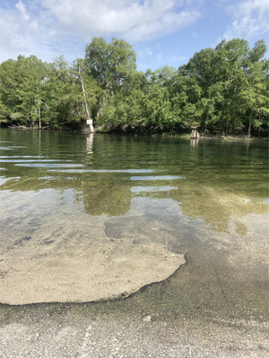 [River, Ellie Ray's River Landing Ramp, Santa Fe River @ 110th St. 2024-07-10]