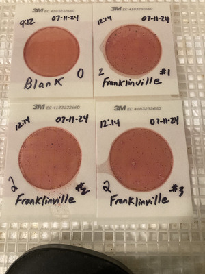 [Plates, Franklinville 2024-07-11]