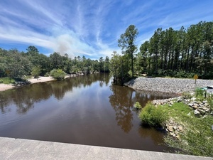 [Lakeland Boat Ramp across, Alapaha River @ GA 122 2024-07-11]