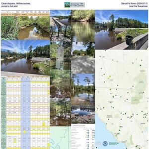 [Clean Alapaha, Withlacoochee, Santa Fe Rivers 2024-07-11, except a hot spot near the Suwannee]