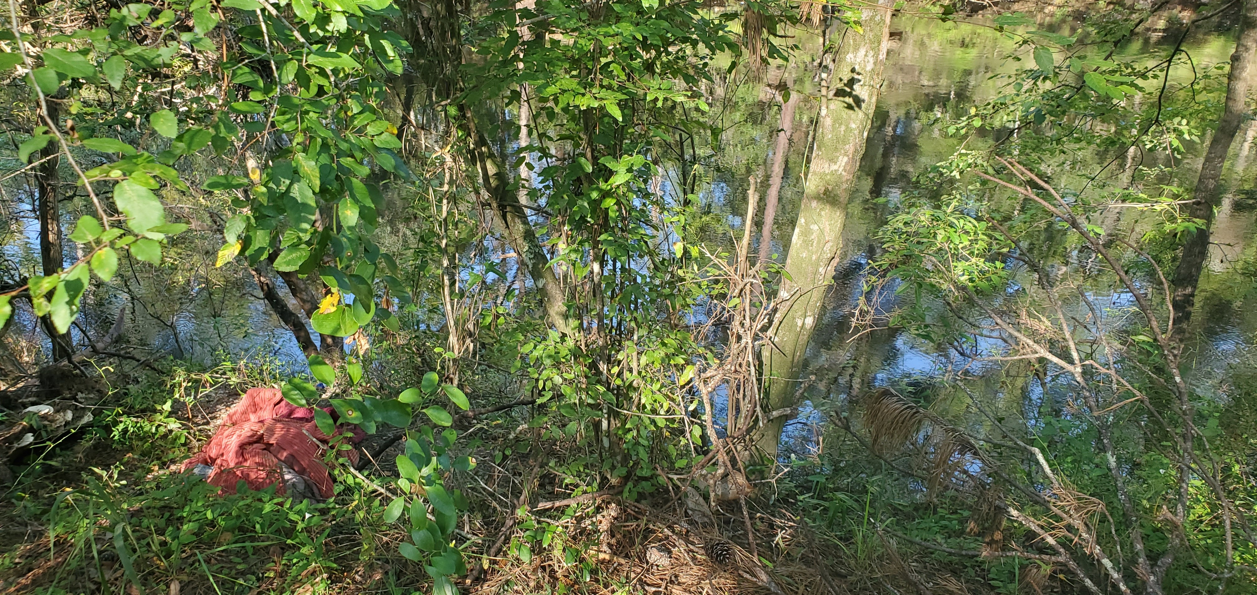 Blanket and trash on slope to Alapaha River, 2024:07:13 09:22:23, 30.6015565, -83.0738102