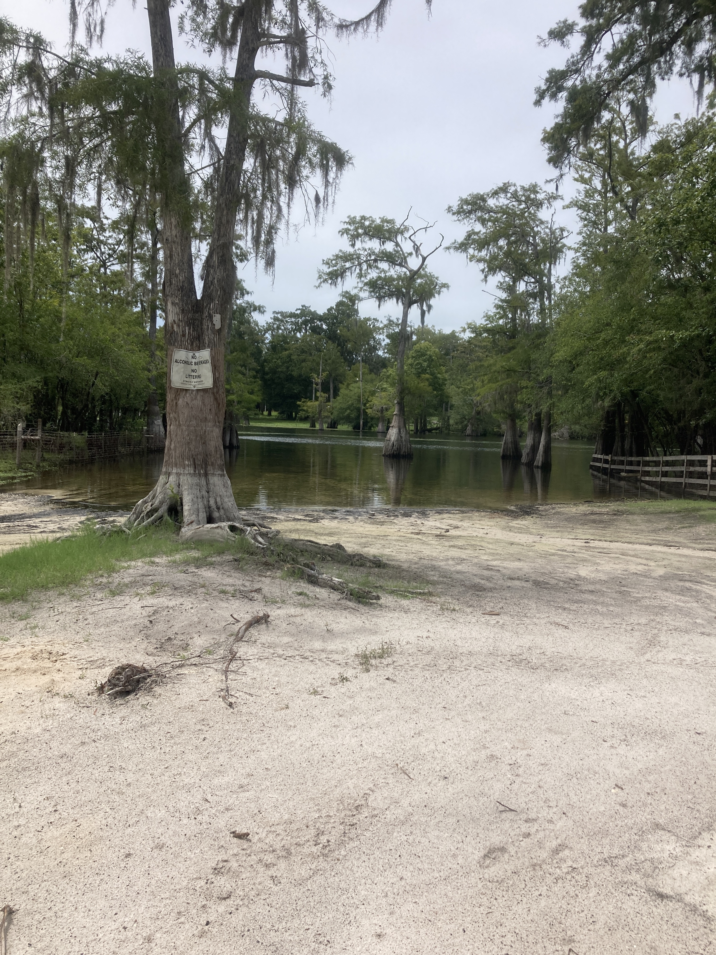 Wanamake Ramp, Santa Fe River, 2024-07-17