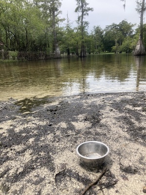 [Other 1, Wanamake Ramp, Santa Fe River, 2024-07-17]