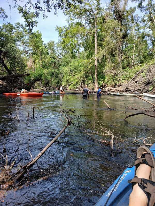 [Sawing the second deadfall --Andrea Sante, 30.6271186, -83.0894462]