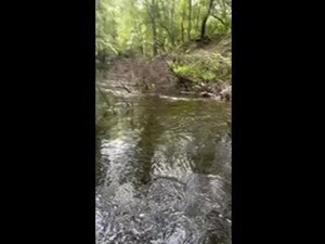 [Movie: We now have a pathway downstream --Bobby McKenzie (272K)]