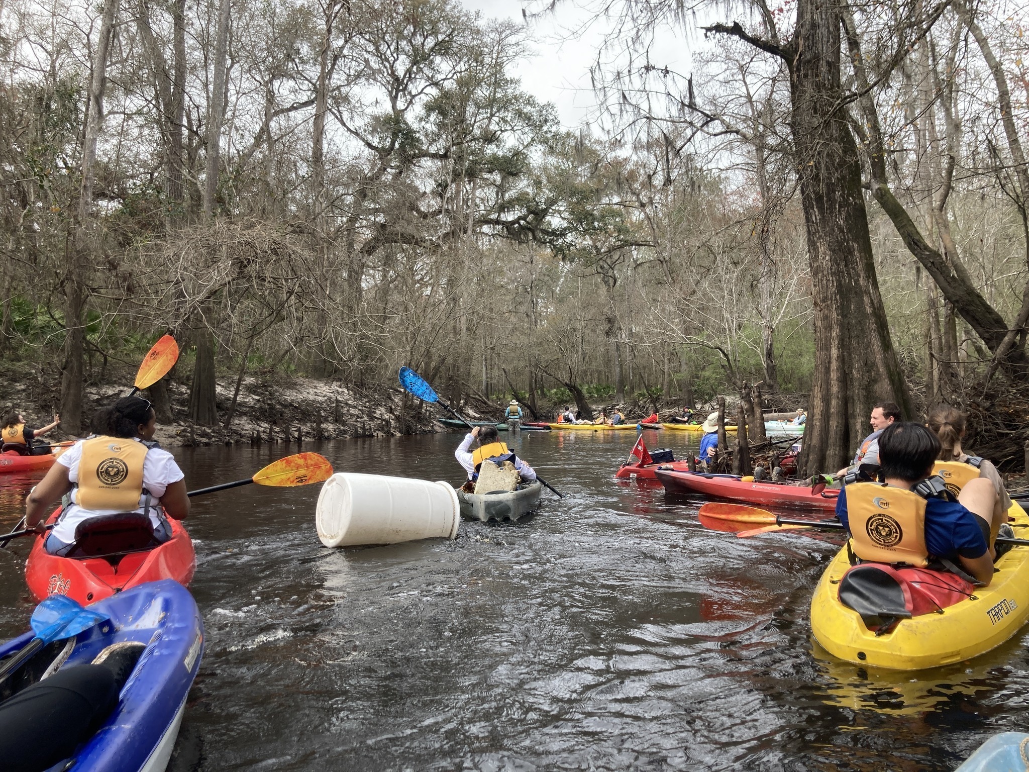 Waiting for obstacle removal (Crowe Deadfall) –Gretchen Quarterman