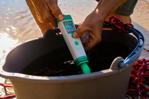 [Conductivity, Santa Fe River]