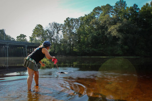 [Joanne Tremblay collecting water sample with a bucket, Santa Fe River]