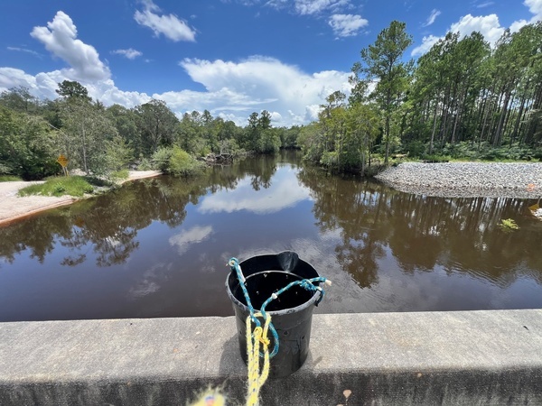 Downstream, Boat Ramp, Alapaha River @ GA 122 2024-07-25