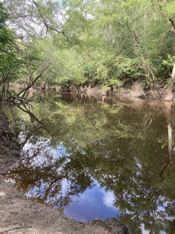 [Staten Road, Withlacoochee River @ Staten Road 2024-07-25]