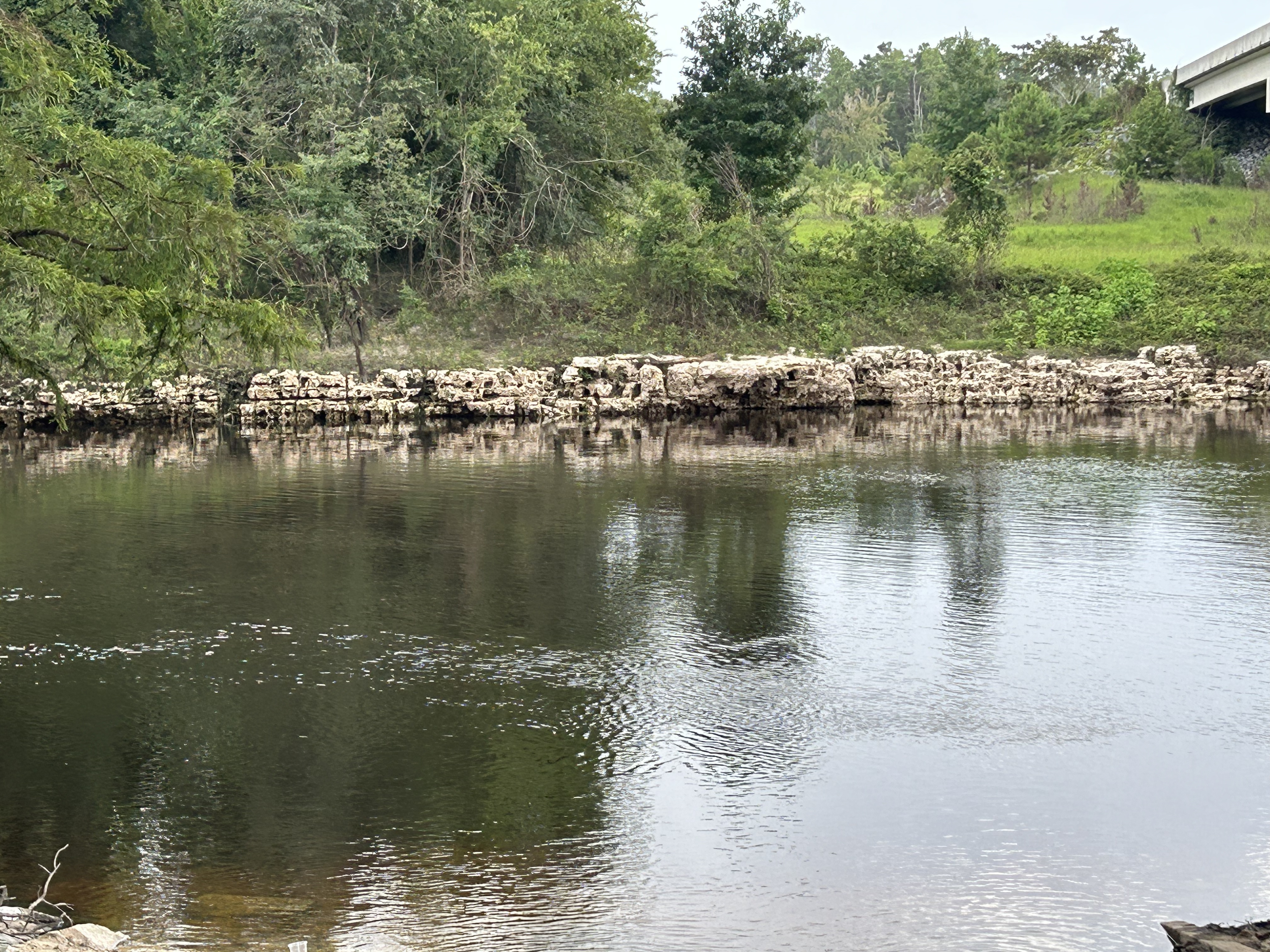 State Line Boat Ramp, Withlacoochee River @ Madison Highway 2024-07-23