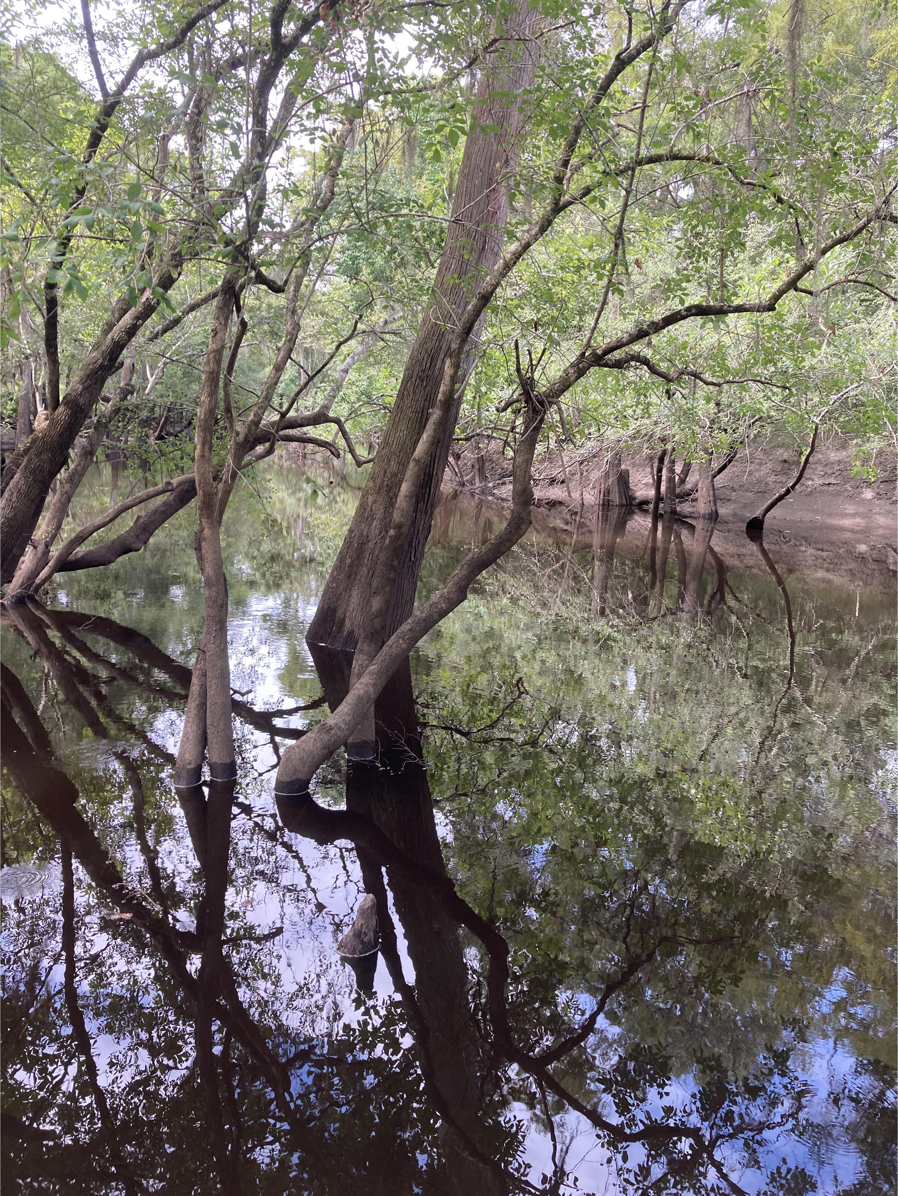 Langdale Park Boat Ramp, Withlacoochee River @ North Valdosta Road 2024-07-25