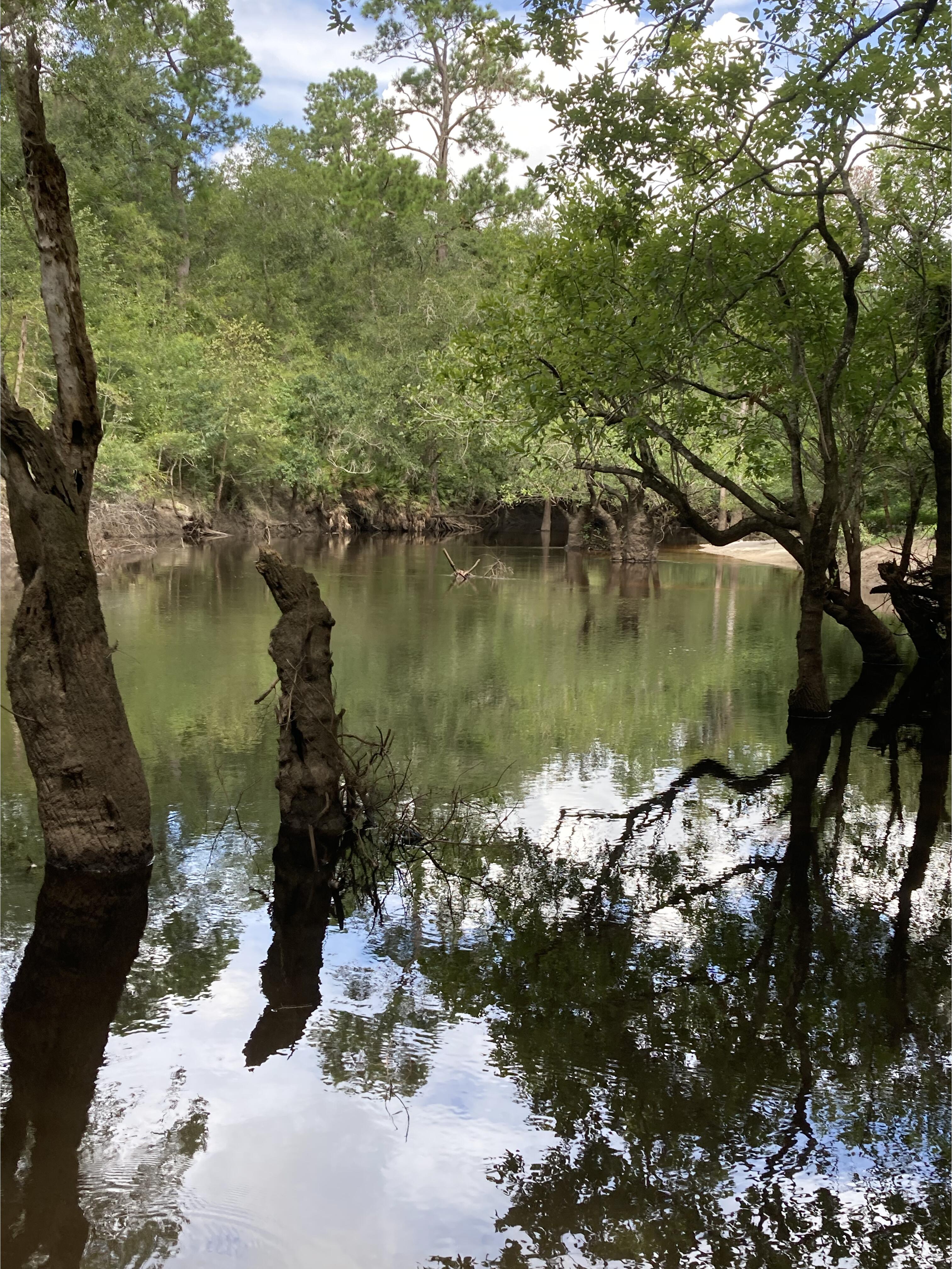 Langdale Park Boat Ramp other, Withlacoochee River @ North Valdosta Road 2024-07-25