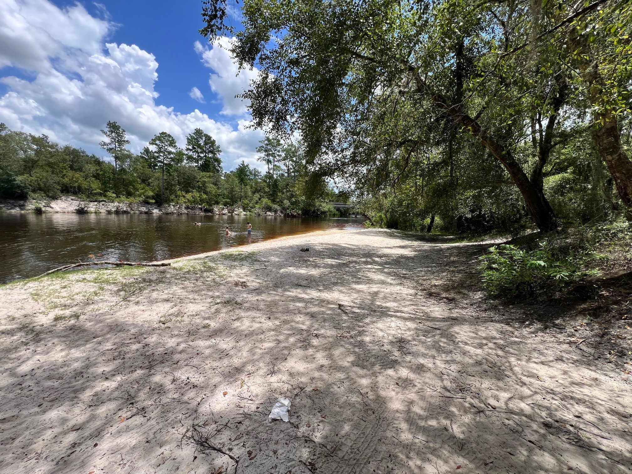 Naylor Park Beach other, Alapaha River @ US 84 2024-07-25