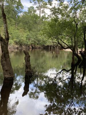 [Langdale Park Boat Ramp other, Withlacoochee River @ North Valdosta Road 2024-07-25]