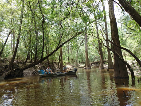 [Blue Drum in Okapilco Creek at turnaround --Phil Royce, 2024:07:27 14:31:35]