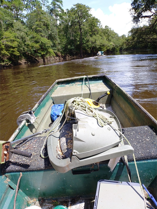 [Back on the Withlacoochee River --Phil Royce, 2024:07:27 15:27:03]