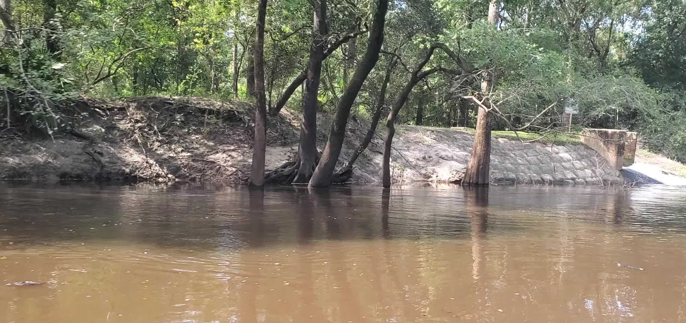 Movie: Outfall, Valdosta WWTP, 10:55:23, 30.8365283, -83.3588065 (28M)