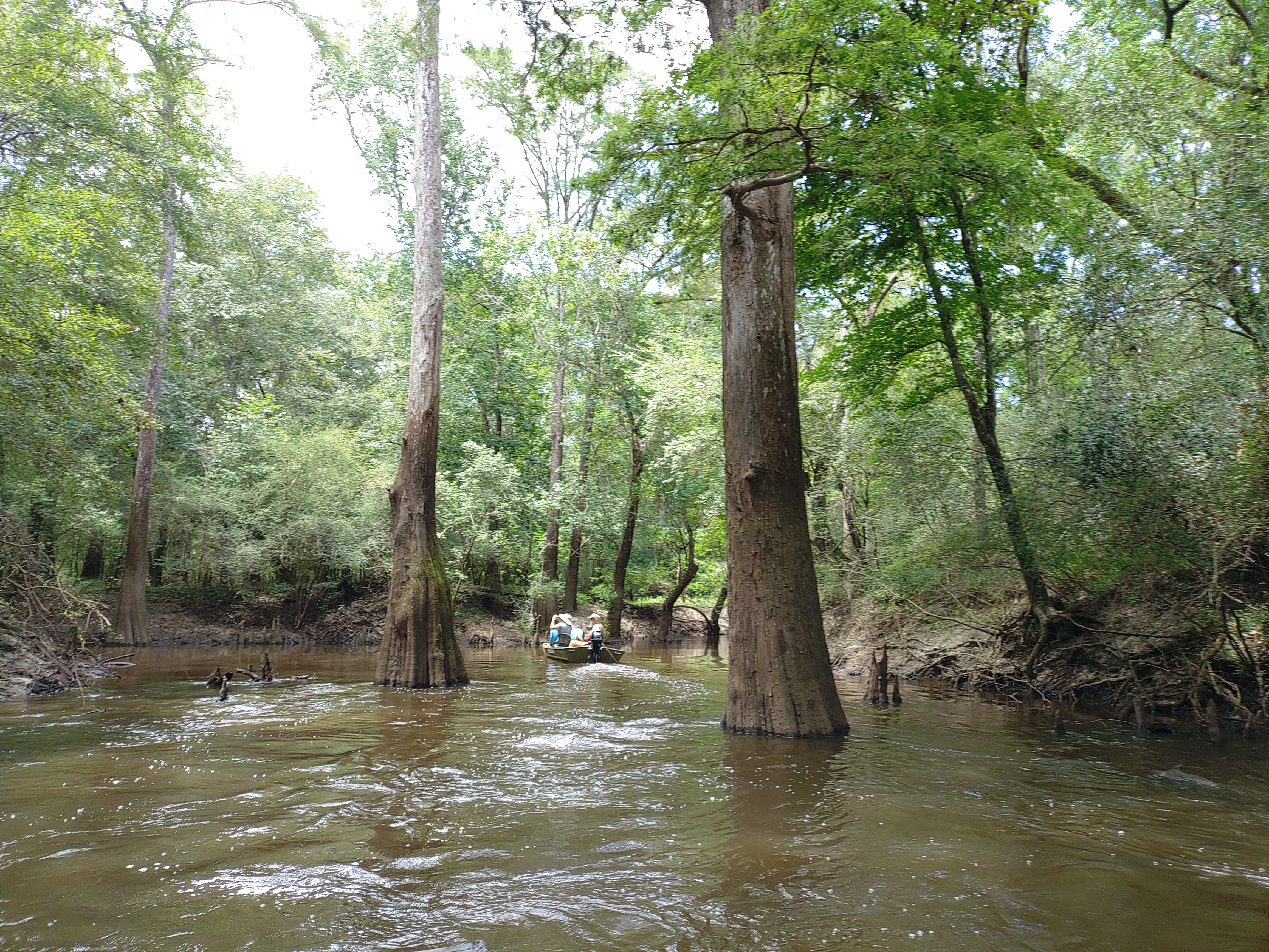 Piscola Creek Confluence --Phil Royce, 2024:07:27 14:09:44